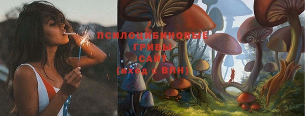 дурь Алзамай